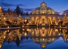 A Longwood Christmas 2026: Plan a Day-to-Night Garden Visit